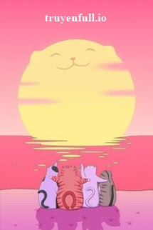 Đội Mèo Hoang Mở Họp – Ngũ Văn Đề Điểu