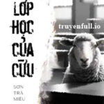 Lớp Học Của Cừu – Sơn Trà Miêu